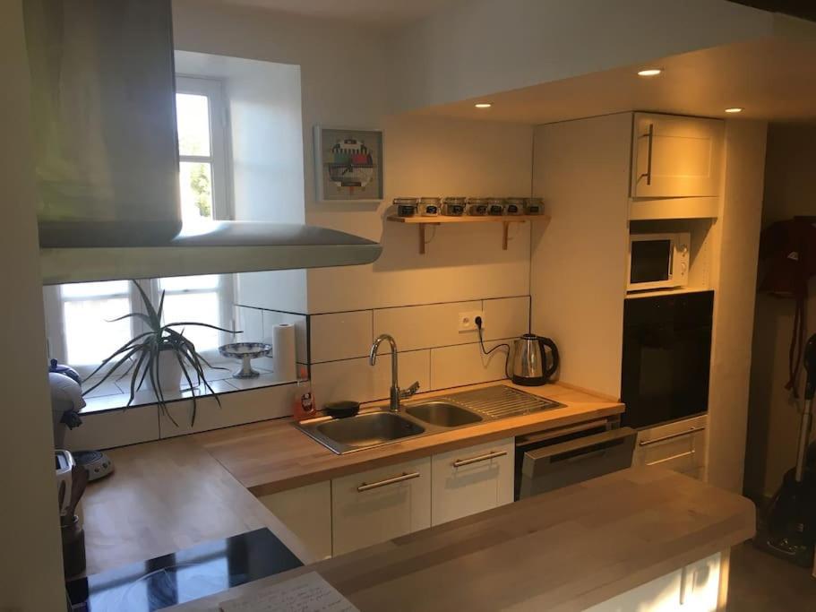 Maison De Village Et Jardin , A Mornac Sur Seudre Kültér fotó